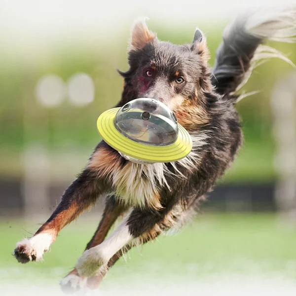 Pet Dog Cat Tumbler Treat ball Feeder Food Dispenser Puzzle Interactive Toys