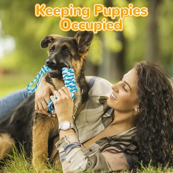 11 Pcs Dog Toys Set, Chew Toys Include Rope, Balls for Small, Medium & Large Dogs