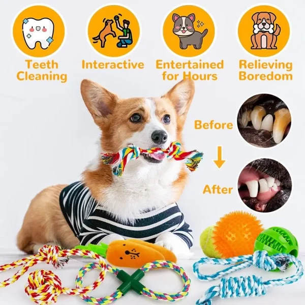 11 Pcs Dog Toys Set, Chew Toys Include Rope, Balls for Small, Medium & Large Dogs