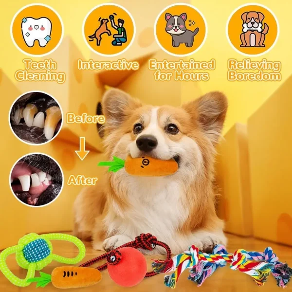 11 Pcs Dog Toys Set