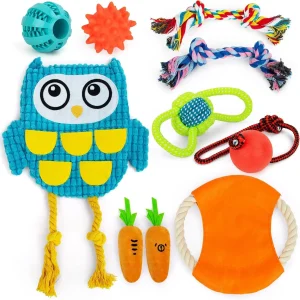 11 Pcs Dog Toys Set