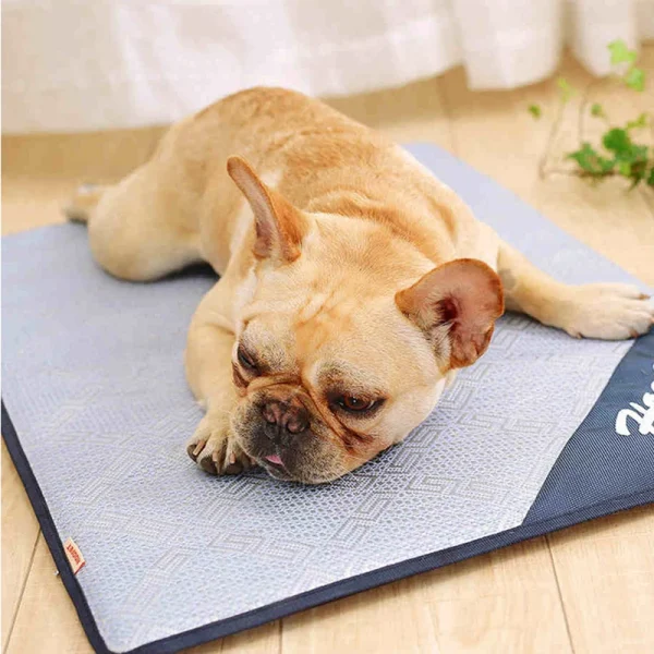 HOOPET Pet Summer Cooling Mat, Summer Bed