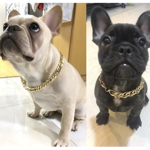 Dogs Collar Necklace - Silver/Golden