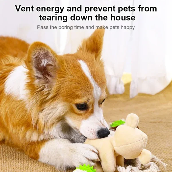Squeaky Interative Toy - Bear, Monkey Playing Training Accessories