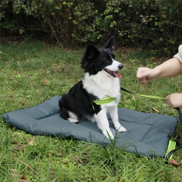 Dog Bed Crate for Outdoor Camping - Oxford Cloth