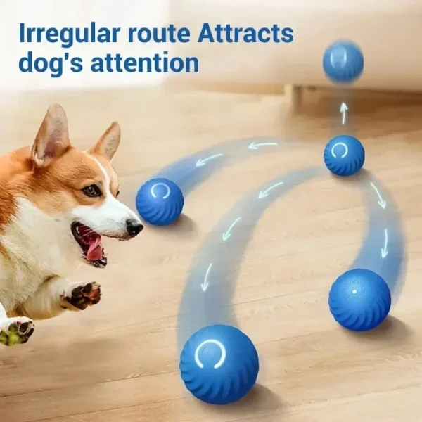 Automatic Moving Bounce Rolling Ball