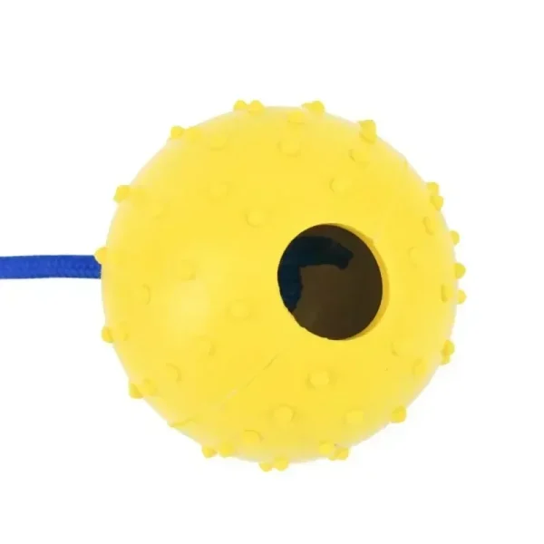 Pet Training Toy Natural Rubber Ball On Rope For Reward