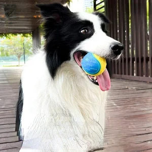 Dog Squeak Ball Bite Resistant Bouncy, Release Energy,Teeth Cleaning