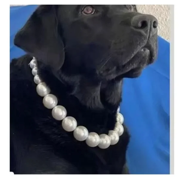 Luxury Pearls Dog Collar Necklace