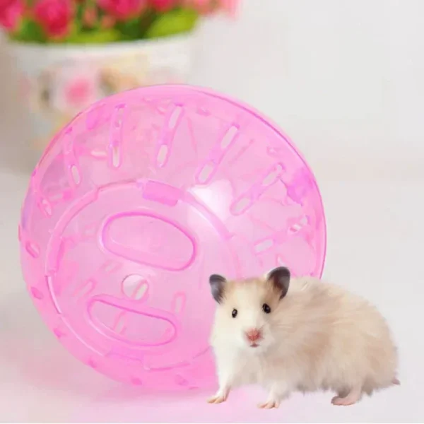 Small Hamster Transparent Running Ball 10cm