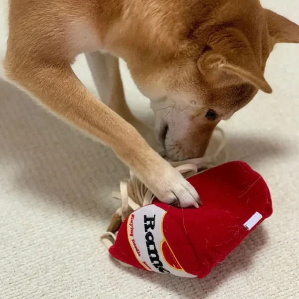 Funny Noodle Shape Leaking Food Dog Toy