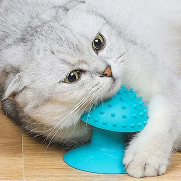 Cat Massage Brush - Self Groomer Combs
