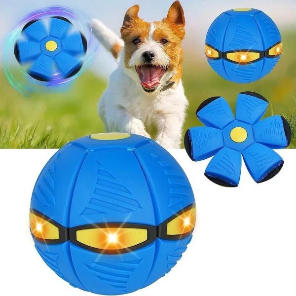 Flying Saucer Ball Dog Toy