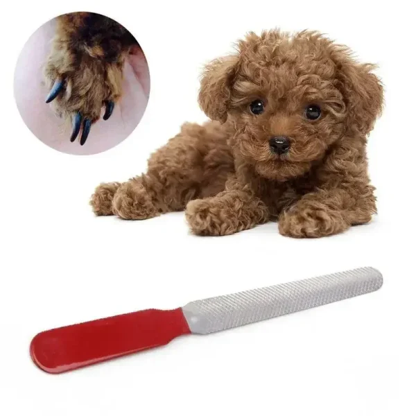 Pet Nail Grooming Accessories
