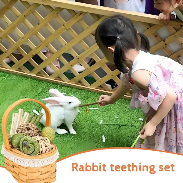 Lisetar Natural Timothy Hay & Apple Wood Sticks - 18pcs Chinchilla & Bunny
