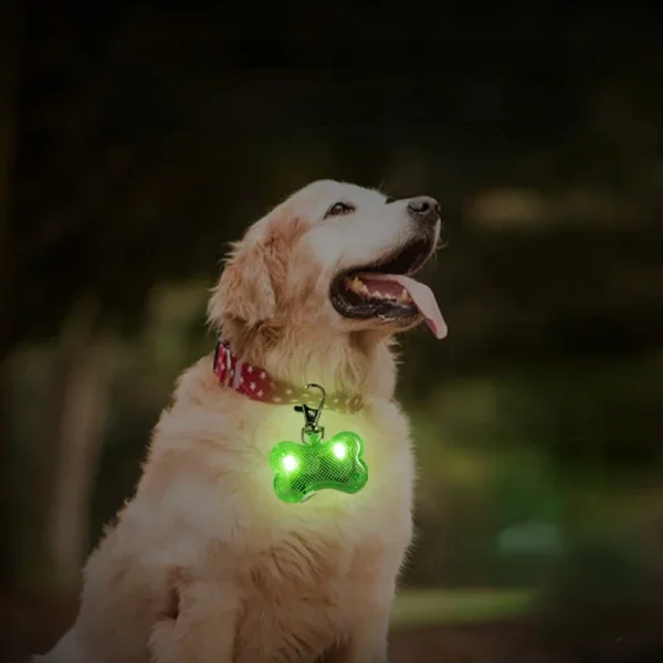 Night Glow Pendant for Dogs Safety