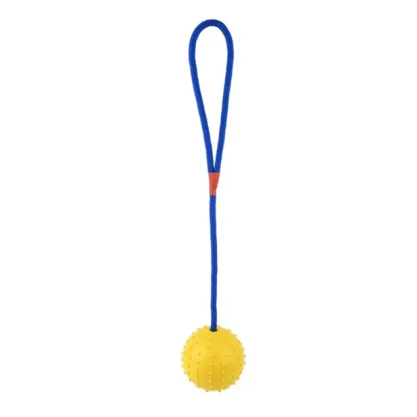Pet Training Toy Natural Rubber Ball On Rope For Reward