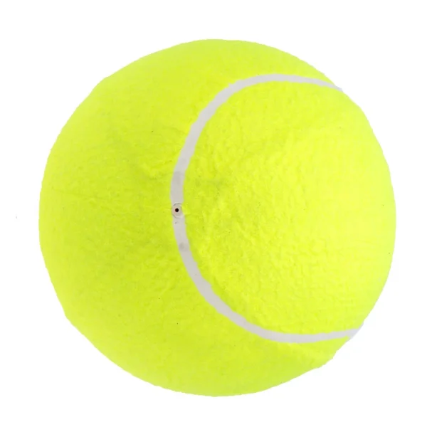 9.5‘’Oversize Giant Tennis Balls Inflatable Tennis Ball with Pump, Dog Toy