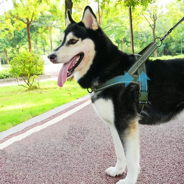 Dog Tactical Chest Harness  - Nylon Material