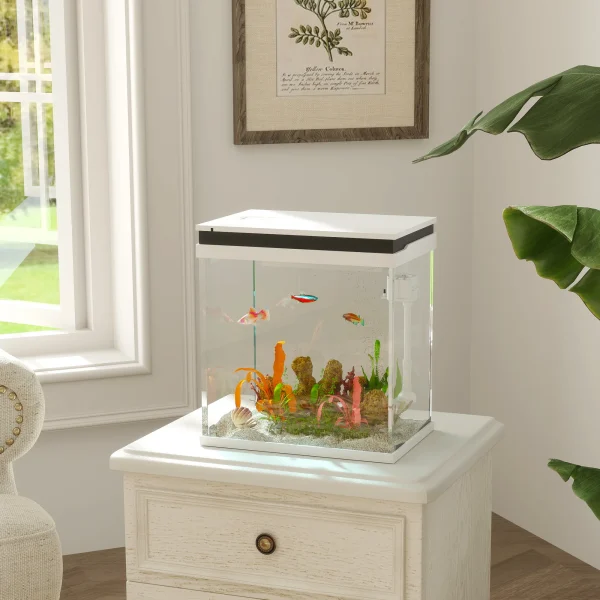 Small Fish Tank with Filter System