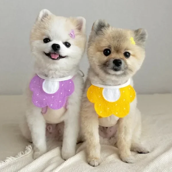 Pet Bandana Triangular Bandage Neckerchief Scarf