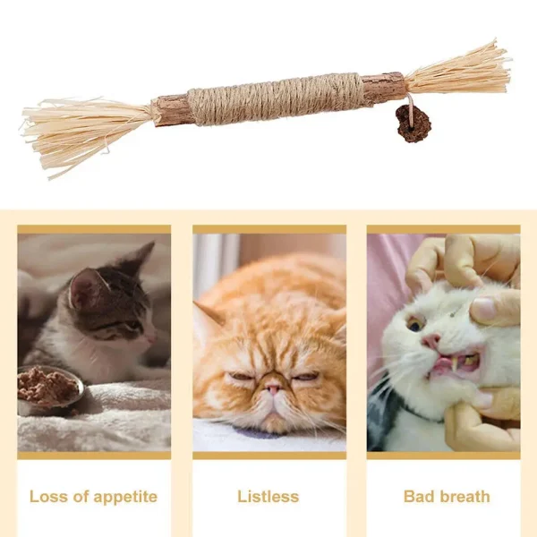 2X New Kitten Teething Toys Natural Chew Sticks For Teeth Cleaning