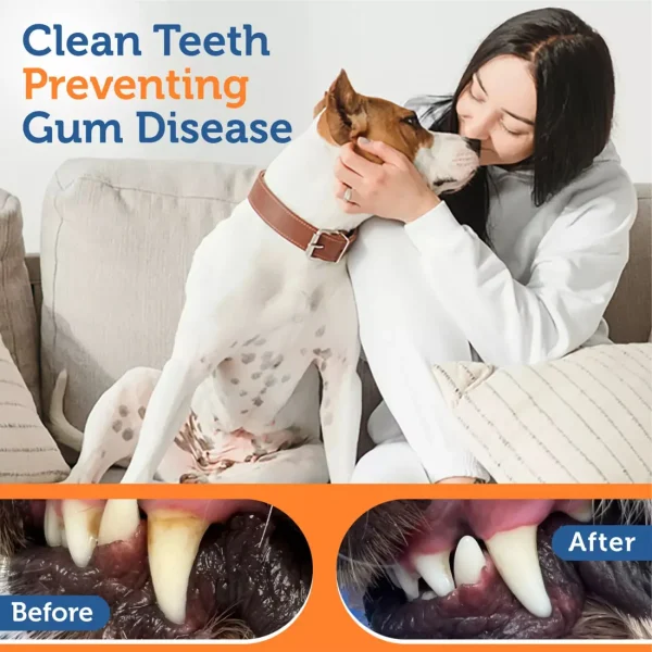 Dog Chew Toy For Aggressive Chewers