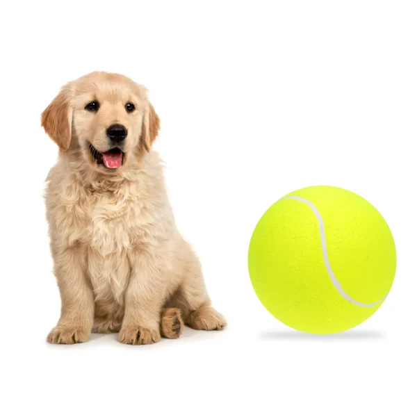9.5‘’Oversize Giant Tennis Balls Inflatable Tennis Ball with Pump, Dog Toy