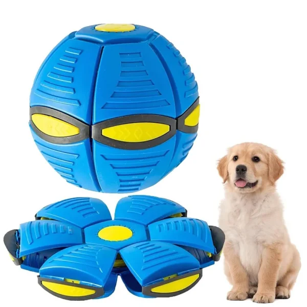 Flying Saucer Ball Dog Toy