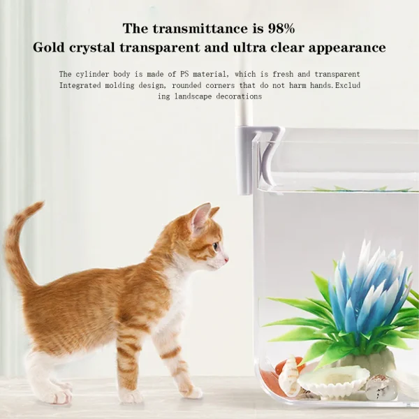 Transparent Aquarium Tank with Clip On Lamp