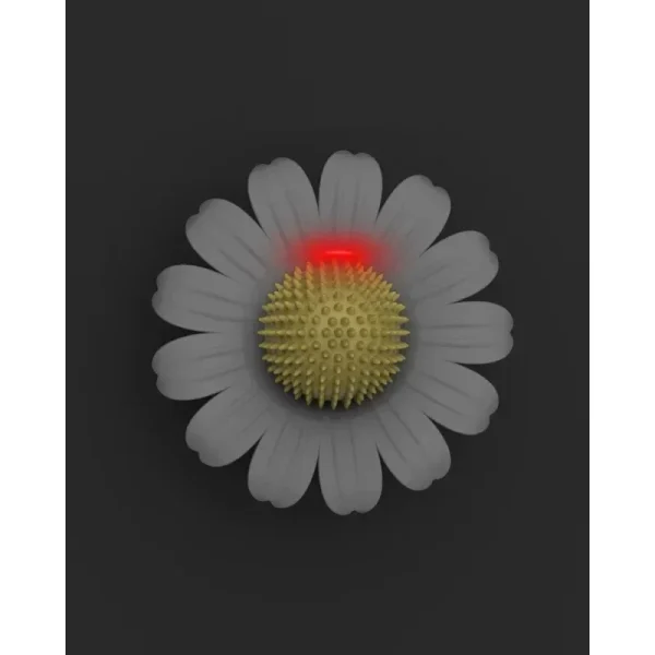 Sun Flower Rubbing Cat Brush