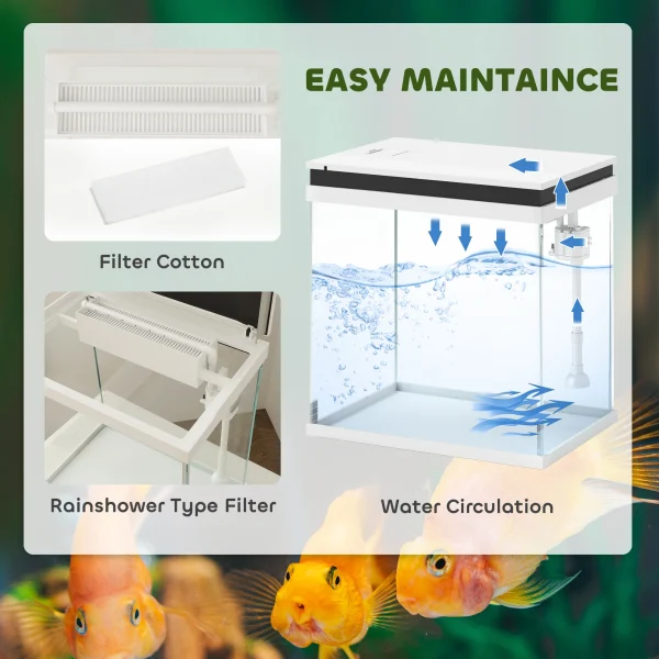 Small Fish Tank with Filter System