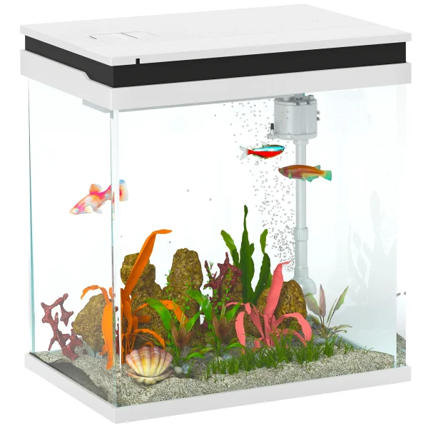 Small Fish Tank with Filter System