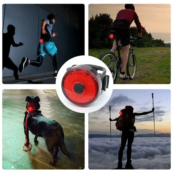 Pet LED Lights, Harness Collar Accessories