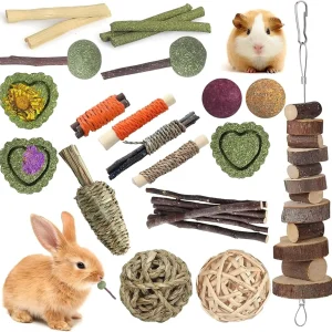 Lisetar Natural Timothy Hay & Apple Wood Sticks - 18pcs Chinchilla & Bunny