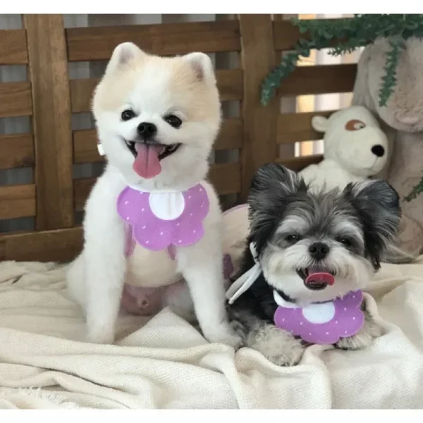 Pet Bandana Triangular Bandage Neckerchief Scarf