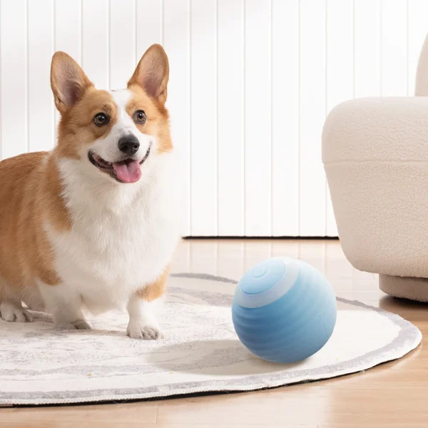 Tieker 2-pack smart toy ball rechargeable  with LED light