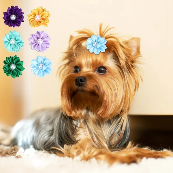 Pet Hair Grooming Accessories - Multicolor Flower