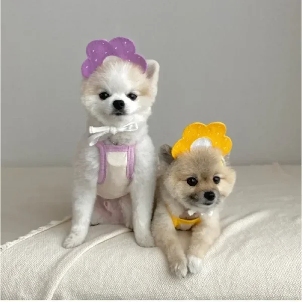 Pet Bandana Triangular Bandage Neckerchief Scarf