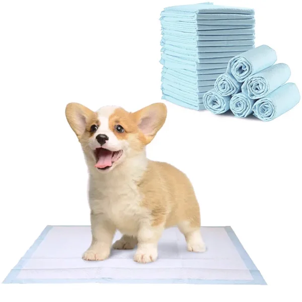 Voltsify Premium Disposable Pet Training Pads, Super Absorbent, Leak-Proof, and Hygienic for Puppies, Senior Pets