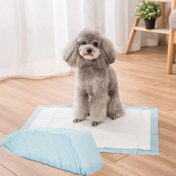 Voltsify Premium Disposable Pet Training Pads, Super Absorbent, Leak-Proof, and Hygienic for Puppies, Senior Pets