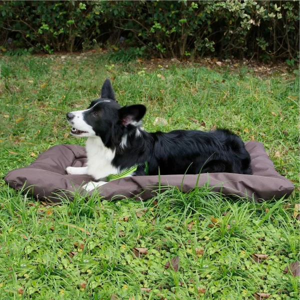 Dog Bed - Outdoor Camping Foldable Sleeping Pad