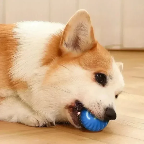 Automatic Moving Bounce Rolling Ball