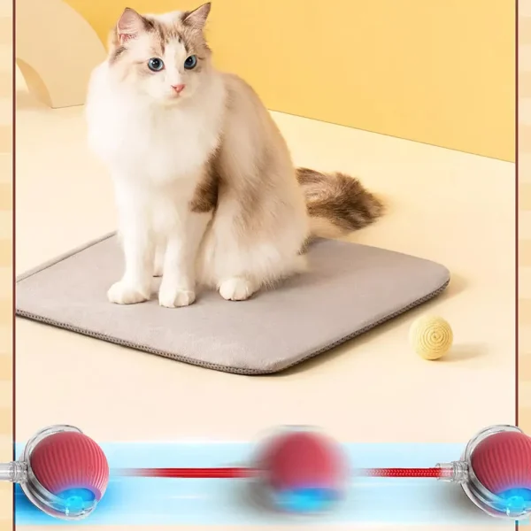 Cat Interactive Ball Training, Self-moving
