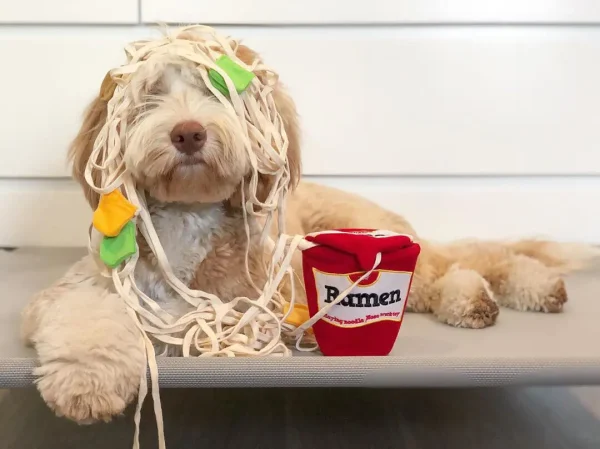Funny Noodle Shape Leaking Food Dog Toy