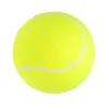 9.5‘’Oversize Giant Tennis Balls Inflatable Tennis Ball with Pump, Dog Toy