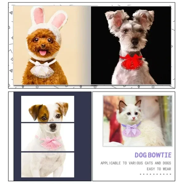 Pet Bow Tie - Star Print Pattern