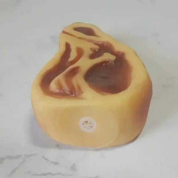Dog Steak - Silicon Chew Playing Toy