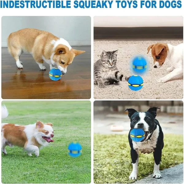 Flying Saucer Ball Dog Toy