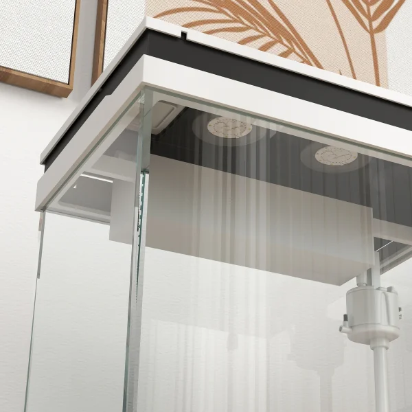 Small Fish Tank with Filter System